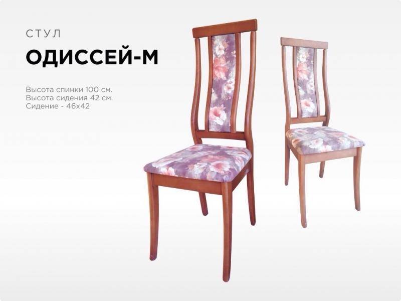 стул одиссей-м в Петрозаводске