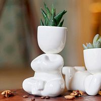 набор для выращивания eco йог в Петрозаводске