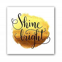 постер shine а4 в Петрозаводске
