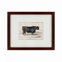 картина: a west highland bull, 1840 в Петрозаводске