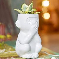горшок для растений eco молчун в Петрозаводске