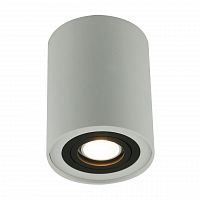 потолочный светильник arte lamp a5644pl-1wh в Петрозаводске