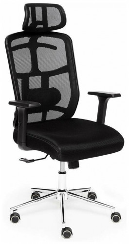компьютерное кресло tetchair mesh-6 для руководителя в Петрозаводске