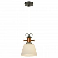 подвесной светильник lussole loft grlsp-9846 в Петрозаводске