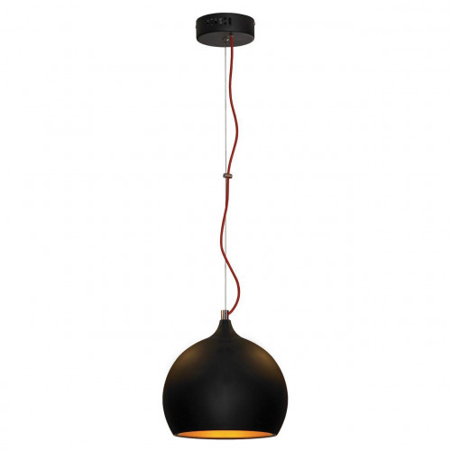 подвесной светильник lussole loft grlsn-6116-01 в Петрозаводске