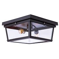 потолочный светильник loft it loft3110-2c в Петрозаводске