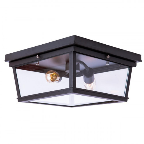 потолочный светильник loft it loft3110-2c в Петрозаводске