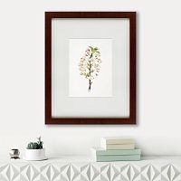 картина: pear tree flowers (pyrus calleryana), 1830 в Петрозаводске
