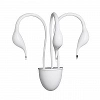 бра lightstar cigno collo wt 751636 в Петрозаводске