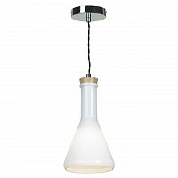 подвесной светильник lussole loft grlsp-9635 в Петрозаводске