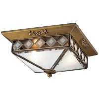 потолочный светильник odeon light morne 2544/2 в Петрозаводске