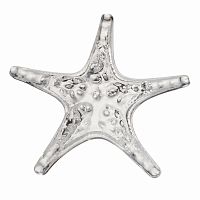декоратиное блюдо starfish в Петрозаводске