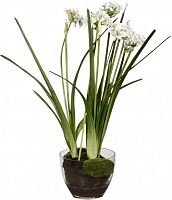 декор allium в Петрозаводске