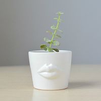 набор для выращивания eco мини-кашпо «губы» в Петрозаводске