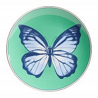 тарелка butterfly малая в Петрозаводске