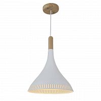 подвесной светильник st luce sl..ав белый в Петрозаводске