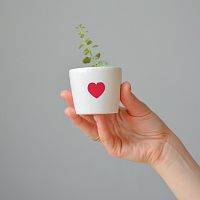 набор для выращивания eco мини-кашпо «сердце» в Петрозаводске