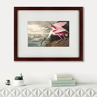 картина: roseate spoonbill, 1827 в Петрозаводске