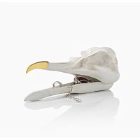 шкатулка для украшений bird skull (белый) в Петрозаводске