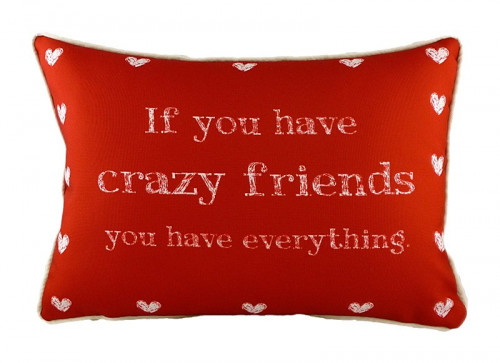 подушка с надписью crazy friends в Петрозаводске
