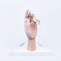 органайзер для украшений the hand белый в Петрозаводске