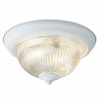 потолочный светильник arte lamp aqua a9370pl-2wh в Петрозаводске