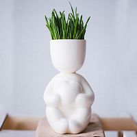 набор для выращивания eco романтик в Петрозаводске