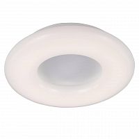 потолочный светильник st luce sl902.502.01d в Петрозаводске