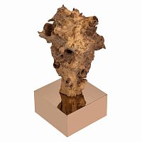 декор burlwood 87 cm в Петрозаводске