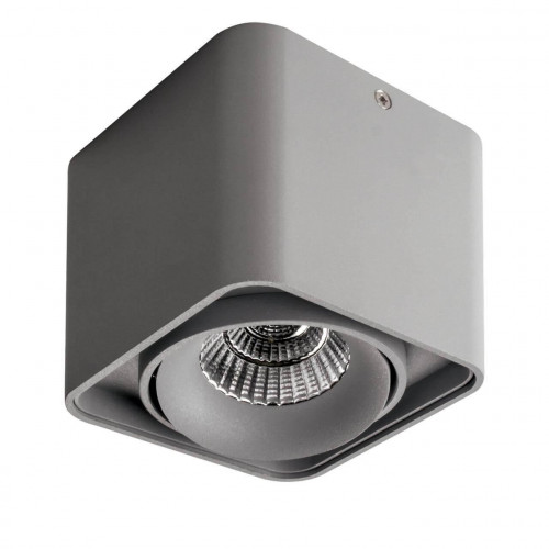 потолочный светодиодный светильник lightstar monocco 052119r в Петрозаводске