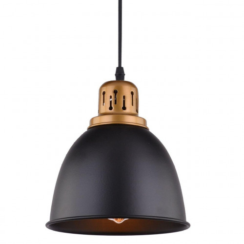подвесной светильник arte lamp eurica a4245sp-1bk в Петрозаводске