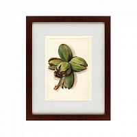 картина: watercolor collection, drawing №1, 1909 в Петрозаводске