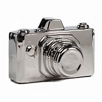 предмет декора camera серебряная в Петрозаводске