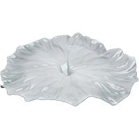 блюдо a lotus leaf белое в Петрозаводске