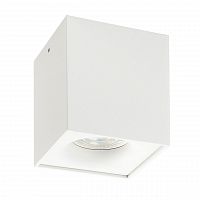 потолочный светильник denkirs dk2033-wh в Петрозаводске