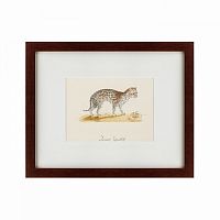 картина: an ocelot, 1801 в Петрозаводске