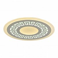 потолочный светодиодный светильник f-promo ledolution 2273-8c в Петрозаводске