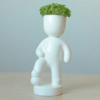 набор для выращивания eco футболист в Петрозаводске