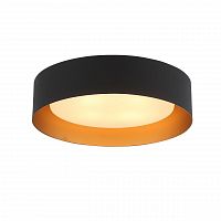 потолочный светильник st luce chio sl392.422.04 в Петрозаводске