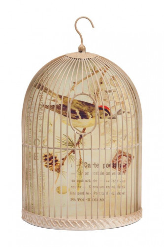 декоративная клетка charlotte media в Петрозаводске