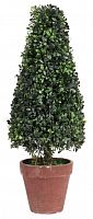 искусственное дерево в горшке topiary в Петрозаводске