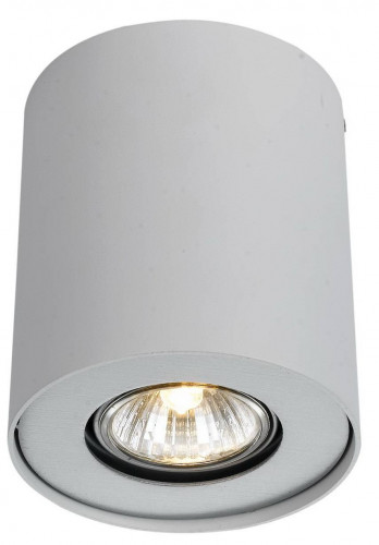 потолочный светильник arte lamp falcon a5633pl-1wh в Петрозаводске