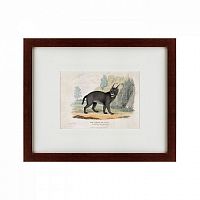 картина: a caracal or lynx, 1830 в Петрозаводске